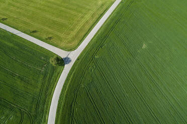 Deutschland, Bayern, Luftaufnahme von Landstraßen, die durch grüne Felder im Frühling führen - RUEF02363