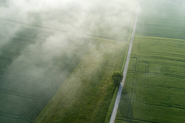 Deutschland, Bayern, Luftaufnahme von Morgennebel, der über einer Landstraße und grünen Feldern im Frühling schwebt - RUEF02369