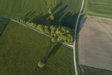 Deutschland, Bayern, Luftaufnahme von Landstraßen, die durch grüne Felder im Frühling führen - RUEF02376