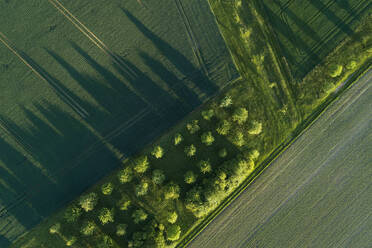 Deutschland, Bayern, Luftaufnahme von grünen Feldern im Frühling - RUEF02377