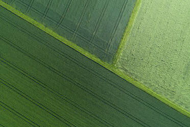 Germany, Bavaria, Aerial view of green countryside fields in spring - RUEF02381