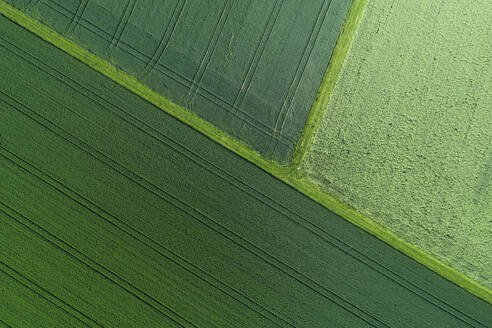 Deutschland, Bayern, Luftaufnahme von grünen Feldern im Frühling - RUEF02381
