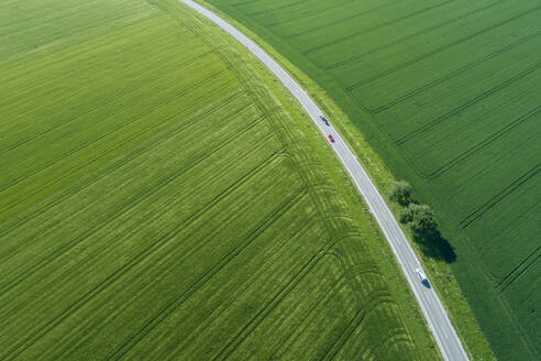 Deutschland, Bayern, Luftaufnahme einer Landstraße, die im Frühling durch grüne Felder führt - RUEF02382