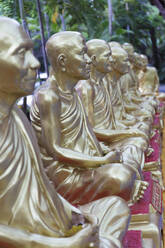 Nahaufnahme der goldenen Statuen im Wat Pho - CAVF69192