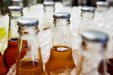 Close-up of glass bottles in ice - CAVF69200