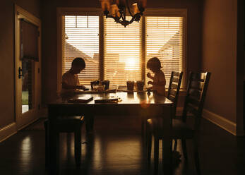 Boys eating while sitting at dining table - CAVF69231