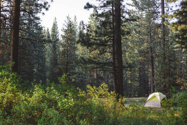 Tent in forest at Grover Hot Springs State Park - CAVF69292