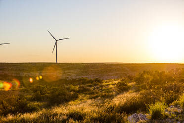 Windmühle auf einem Feld bei Sonnenuntergang - CAVF69332