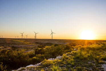 Windmühlen auf einem Feld gegen den Himmel bei Sonnenuntergang - CAVF69333