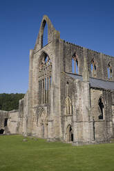 Vertikale Ansicht der Westfront und der Südwestecke von Tintern Abbey, Monmouthshire, Wales, Vereinigtes Königreich, Europa - RHPLF12734