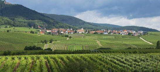 Dorf in den Weinbergen, Pfalz, Rheinland Pfalz, Deutschland, Europa - RHPLF12738