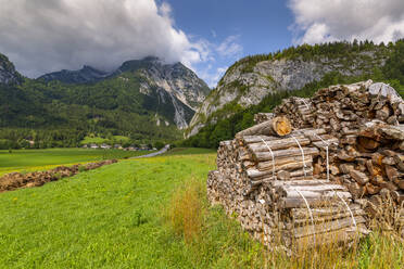 Holzlagerhaufen und Berge, Unterburg, Steiermark, Tirol, Österreichische Alpen, Österreich, Europa - RHPLF12789