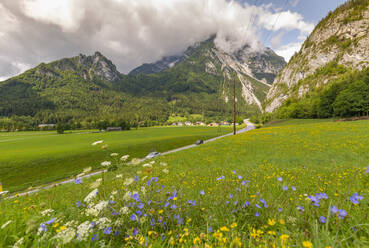 Blick auf eine Straße, die in die Berge führt, Unterburg, Steiermark, Tirol, Österreichische Alpen, Österreich, Europa - RHPLF12790