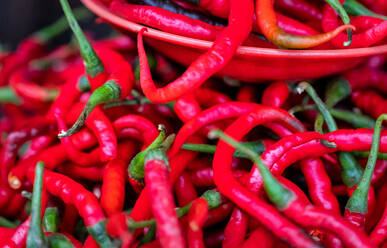 Scharfe frische rote Chilis zum Verkauf auf dem Markt, Togian Inseln, Indonesien, Südostasien, Asien - RHPLF12801