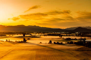 Farmland in Auburn bei Sonnenuntergang, Bundesstaat Washington, Vereinigte Staaten von Amerika, Nordamerika - RHPLF12881