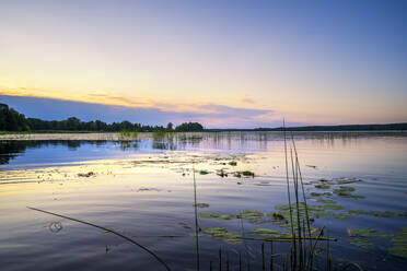 Sonnenuntergang über dem Juglas-See, Lettische Natur, Riga, Lettland, Europa - RHPLF12891