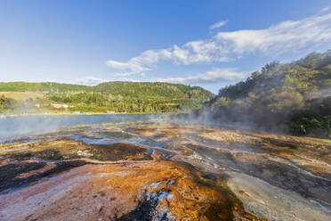 Smaragdterrasse, Orakei Korako Geothermal Park, Taupo Vulkanische Zone, Nordinsel, Neuseeland - FOF11080