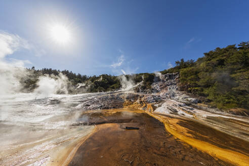 Hot Springs Algae and Terracettes und Emerald Terrace, Orakei Korako Geothermal Park, Taupo Volcanic Zone, Nordinsel, Neuseeland - FOF11082