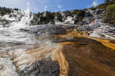 Hot Springs Algae and Terracettes und Emerald Terrace, Orakei Korako Geothermal Park, Taupo Volcanic Zone, Nordinsel, Neuseeland - FOF11085