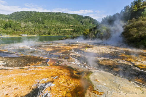 Smaragdterrasse, Ohakuri-See, Orakei Korako Geothermal Park, Taupo Vulkangebiet, Nordinsel, Neuseeland - FOF11086