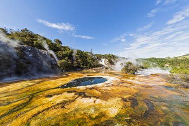 Karte von Afrika und Regenbogenterrasse, Orakei Korako Geothermal Park, Taupo Volcanic Zone, Nordinsel, Neuseeland - FOF11088