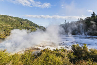 Artist's Palette Lockout, Orakei Korako Geothermal Park, Taupo Volcanic Zone, Nordinsel, Neuseeland - FOF11091