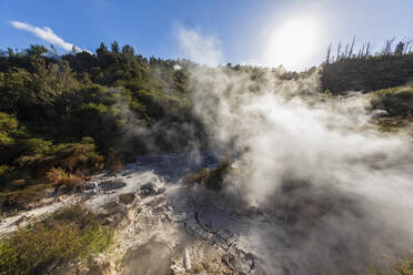 Orakei Korako Geothermal Park, Taupo Volcanic Zone, Nordinsel, Neuseeland - FOF11092