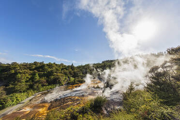 Regenbogenterrasse, Orakei Korako Geothermal Park, Taupo Volcanic Zone, Nordinsel, Neuseeland - FOF11095