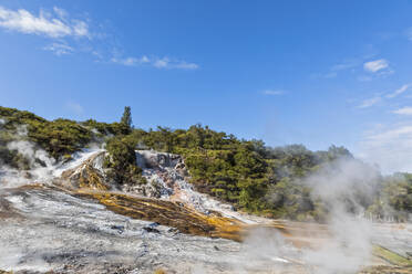 Orakei Korako Geothermal Park, Taupo Volcanic Zone, Nordinsel, Neuseeland - FOF11096