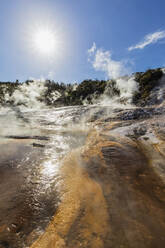 Cascade Terrace, Hot Springs Algae and Terracettes und Emerald Terrace, Orakei Korako Geothermal Park, Taupo Volcanic Zone, Nordinsel, Neuseeland - FOF11102