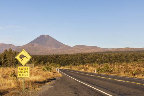 Neuseeland, Nordinsel, Kiwi-Vogel überquert Straßenschild am State Highway 48 mit Mount Ngauruhoe im Hintergrund - FOF11105