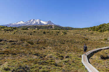 New Zealand, North Island, Male hiker standing on Waitonga Falls Track boardwalk admiring distant Mount Ruapehu volcano - FOF11111