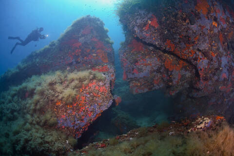 France, Corsica, Scuba diver swimming over rocky sea bottom stock photo