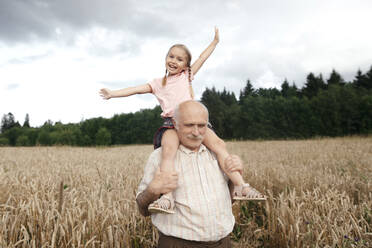 Portrait of happy little girl on grandfather's shoulders in an oat field - EYAF00694