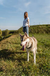 Junge Frau mit ihrem Hund auf einer Wiese bei Sonnenuntergang - MAUF03079