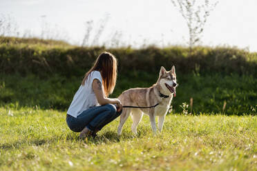 Young woman with her dog on a meadow - MAUF03084