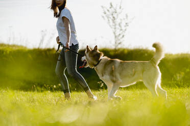 Junge Frau läuft mit ihrem Hund auf einer Wiese - MAUF03085