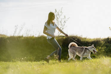 Junge Frau geht mit ihrem Hund in der Natur spazieren - MAUF03086