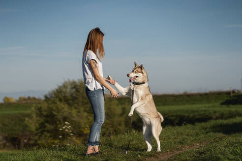 Junge Frau unterrichtet ihren Hund in der Natur - MAUF03093