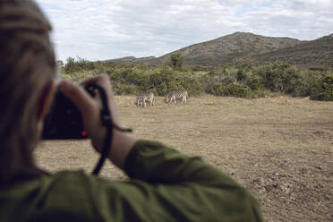 Back view of girl taking photo of zebras, Inverdoorn game Reserve, Breede River DC, South Africa - MCF00358