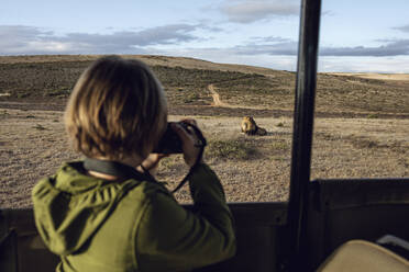 Rückenansicht eines Mädchens, das einen Löwen fotografiert, Inverdoorn game Reserve, Breede River DC, Südafrika - MCF00359