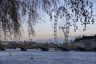 UK, England, London, Westminster Bridge und London Eye in der Morgendämmerung - LOMF00919