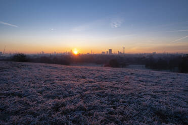 UK, England, London, Regents Park at winter sunrise - LOMF00922