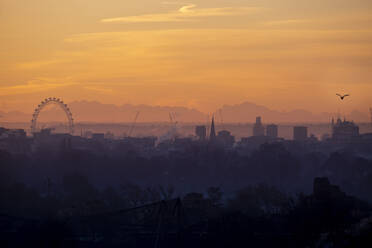 UK, England, London, Silhouetten des London Eye und der umliegenden Gebäude bei orangefarbenem Sonnenaufgang - LOMF00923