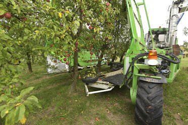 Apfelernte auf einer Plantage, Erntemaschine für die Automatisierung - LYF00964