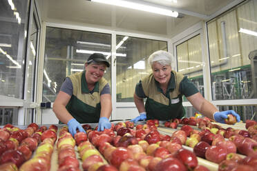 Arbeiterinnen kontrollieren Äpfel auf einem Förderband in einer Apfelsaftfabrik - LYF00998