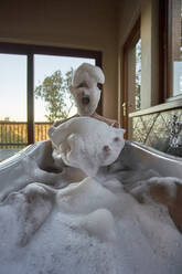 Man playing with the foam in a bathtub - VEGF00829