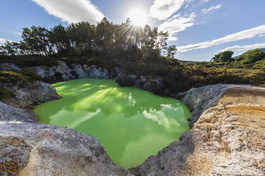 Wai-O-Tapu Thermal Wonderland, Vulkangebiet Taupo, Nordinsel, Neuseeland - FOF11162