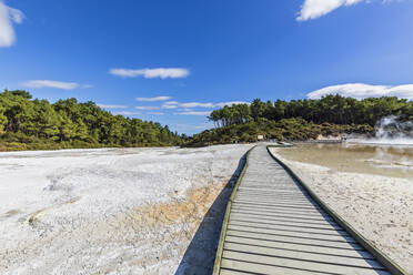 Leere Uferpromenade, Wai-O-Tapu Thermal Wonderland, Taupo Vulkangebiet, Nordinsel, Neuseeland - FOF11164