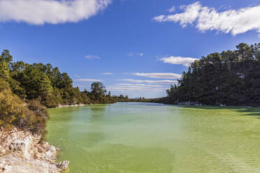 Ngakoro-See, Wai-O-Tapu Thermal Wonderland, Vulkangebiet Taupo, Nordinsel, Neuseeland - FOF11166